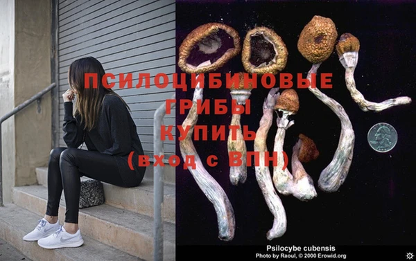 ALPHA-PVP Мегион