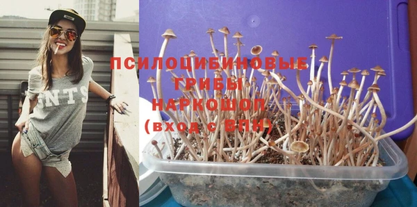 a pvp Михайлов